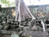 Та Пром - сливане на храм със джунглата