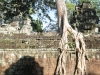 Та Пром - сливане на храм със джунглата